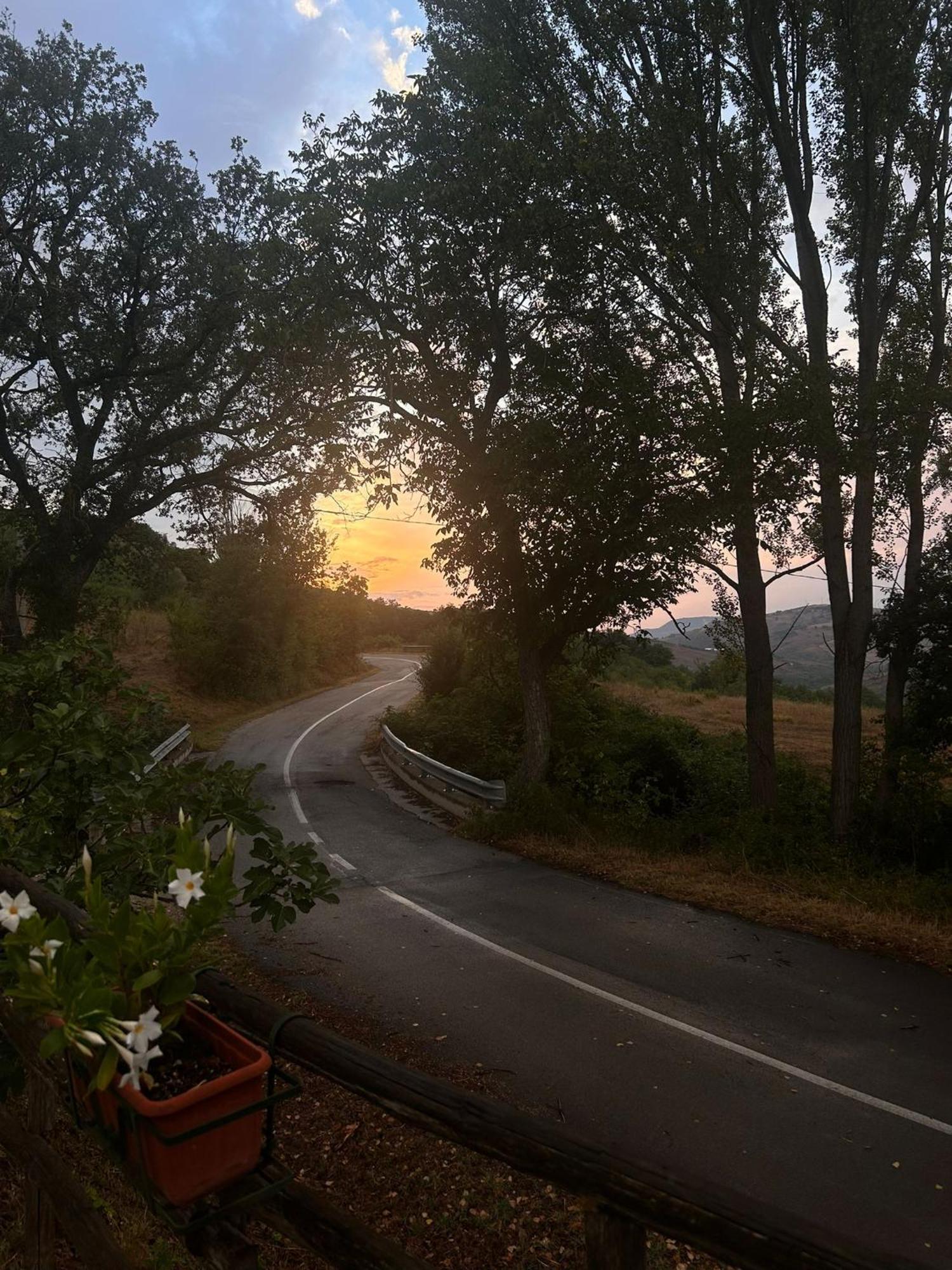 Il Gelso Guest House Trivigno Bagian luar foto